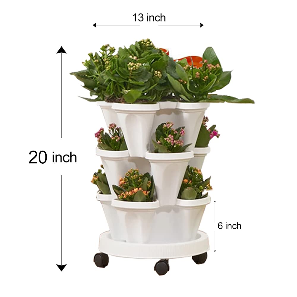 Amazon.com: Tectsia Strawberry Vertical Planters, 3 Tiered